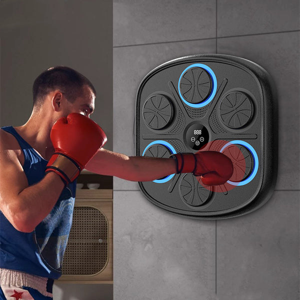 Music Boxing Wall Target Trainer